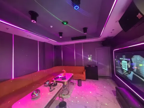 东辰酒店商务ktv