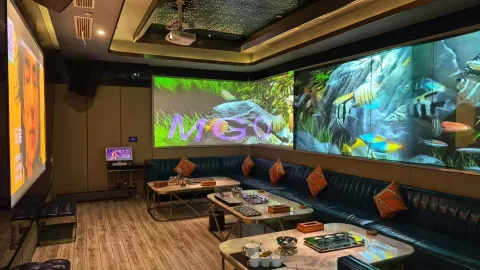 美高PARTY·KTV夜总会(兰陵路店)
